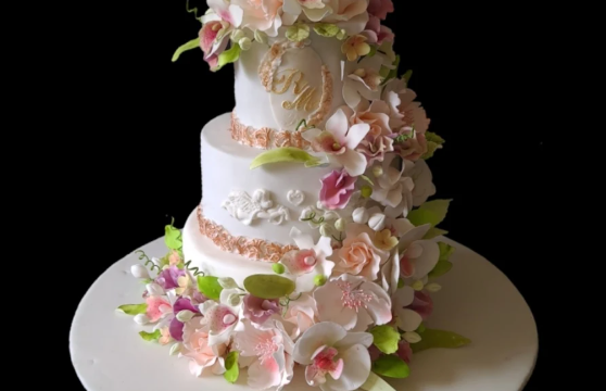 Art In Cakes Lostock Gralam Northwich Cheshire Bespoke Wedding Cake Designer