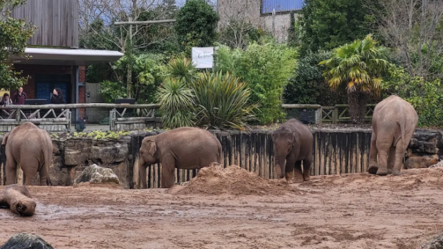 Chester Zoo Unique Iconic Wildlife Wedding Venue